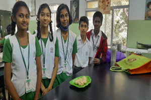 career guidance